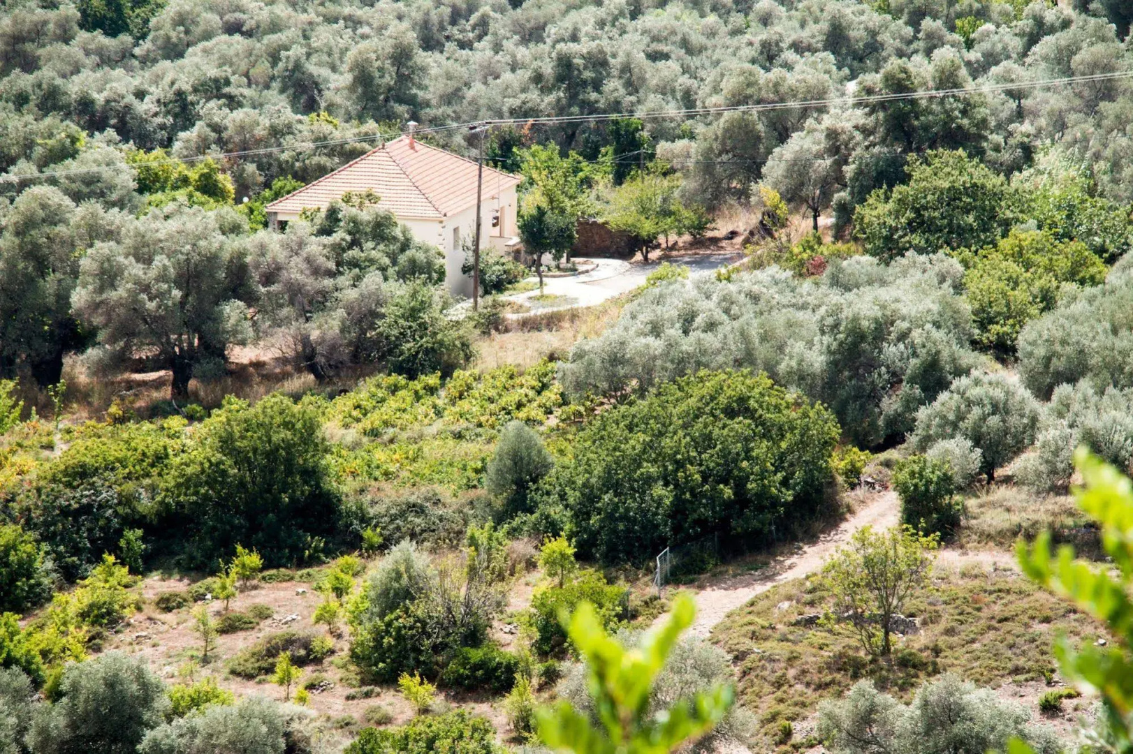 Villa Vlatos