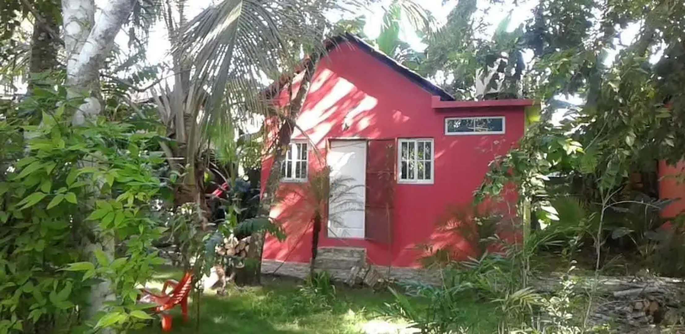 Green Jungle Hotel y Restaurante