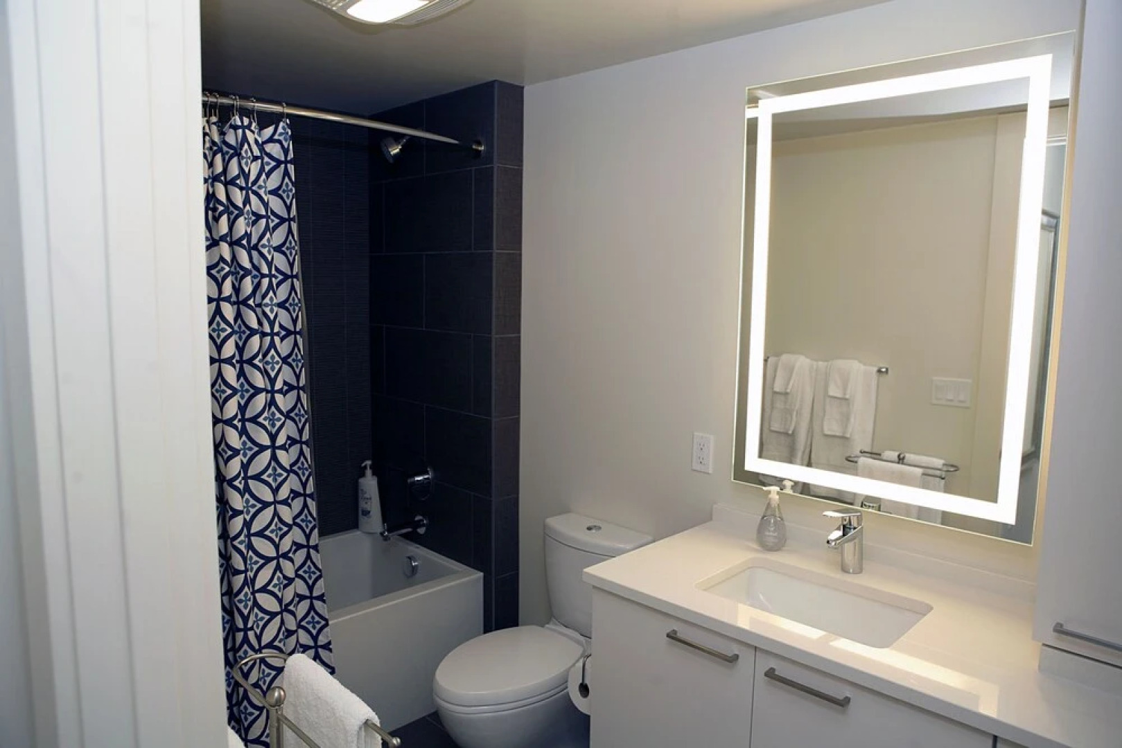 Apartments in the Loop