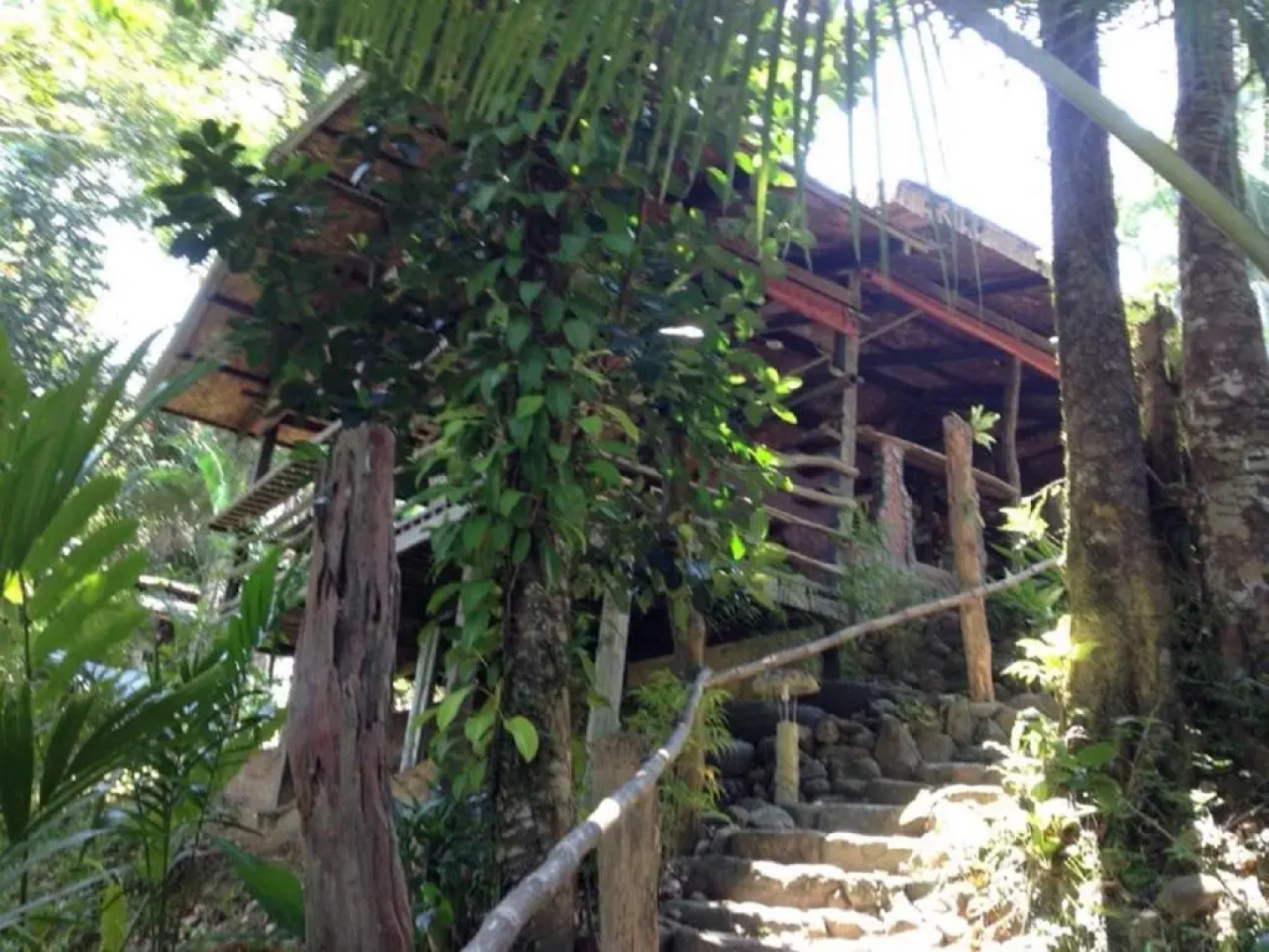 Bambua Nature Cottages and Hostel