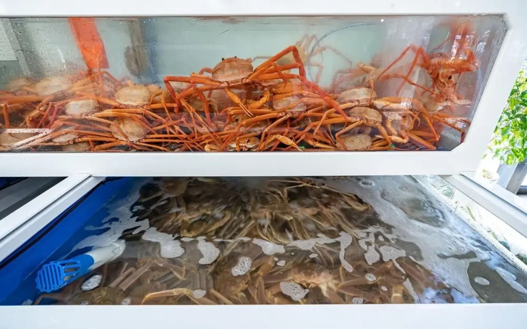 Yeongdeok Gangguhang Cloud Hotel