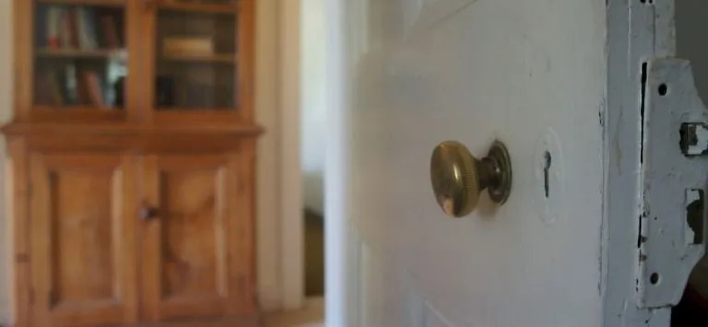 Rosnay Organic Vineyard, Olive Grove, Figs and Farmstay