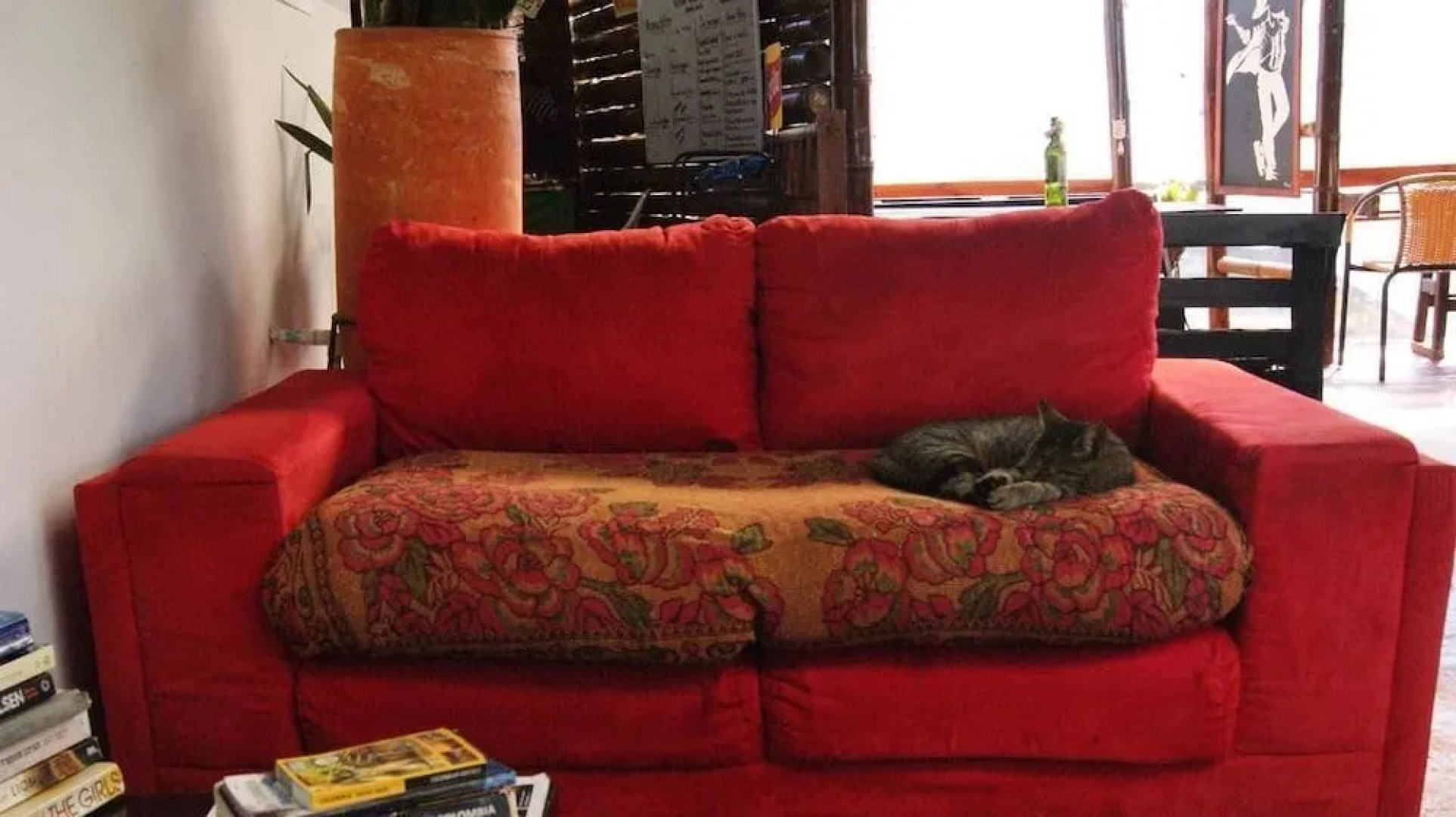 Hostal Casa del Loro - Hostel