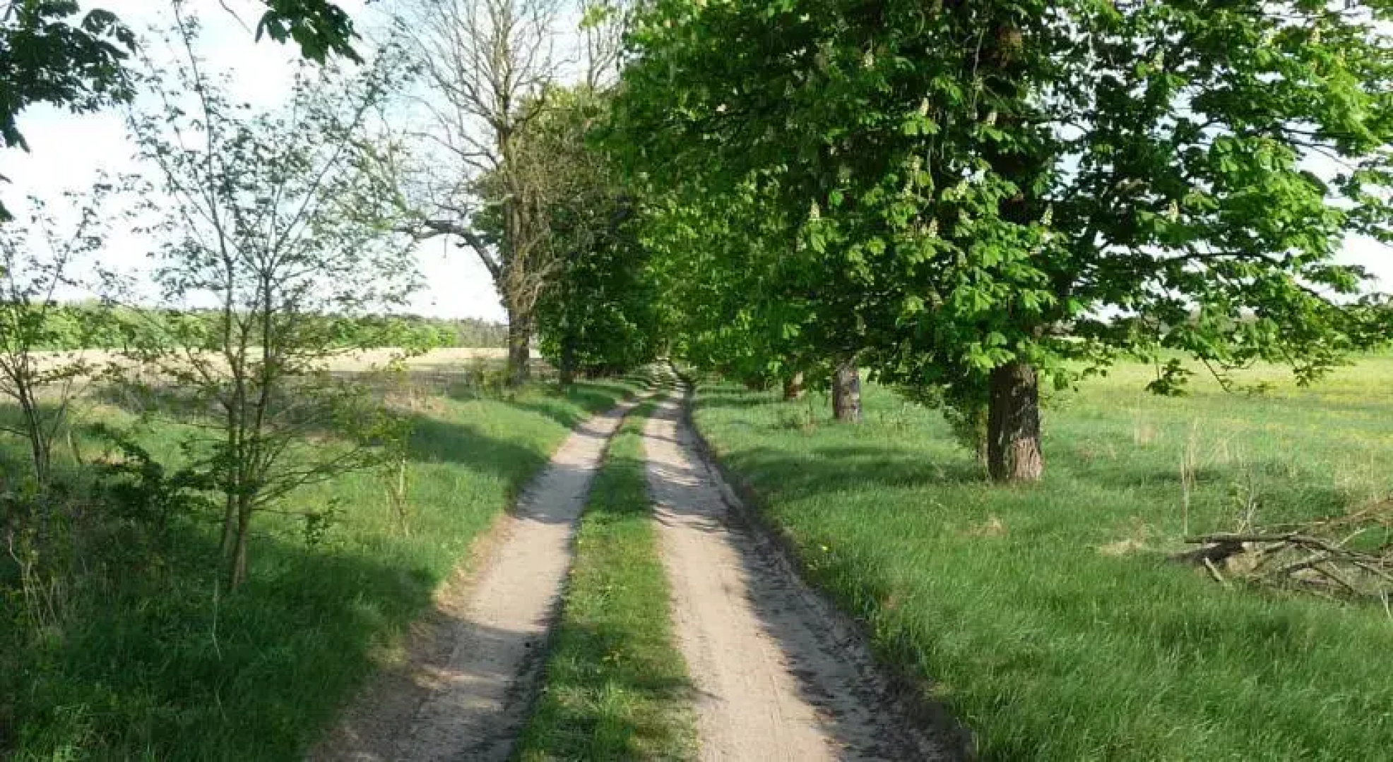 Gospodarstwo Agroturystyczne Leśniczówka