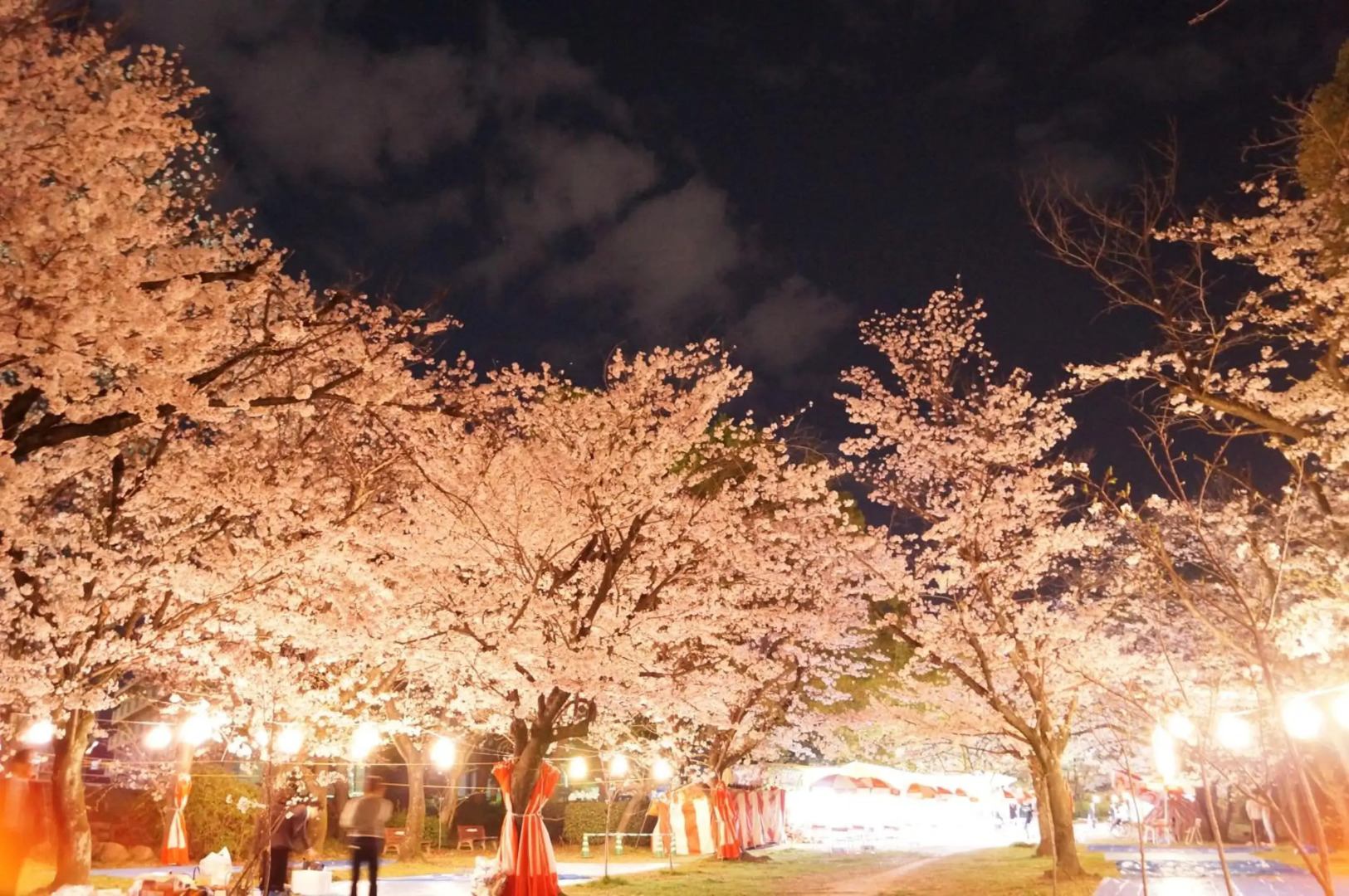 The Evergreen Hostel