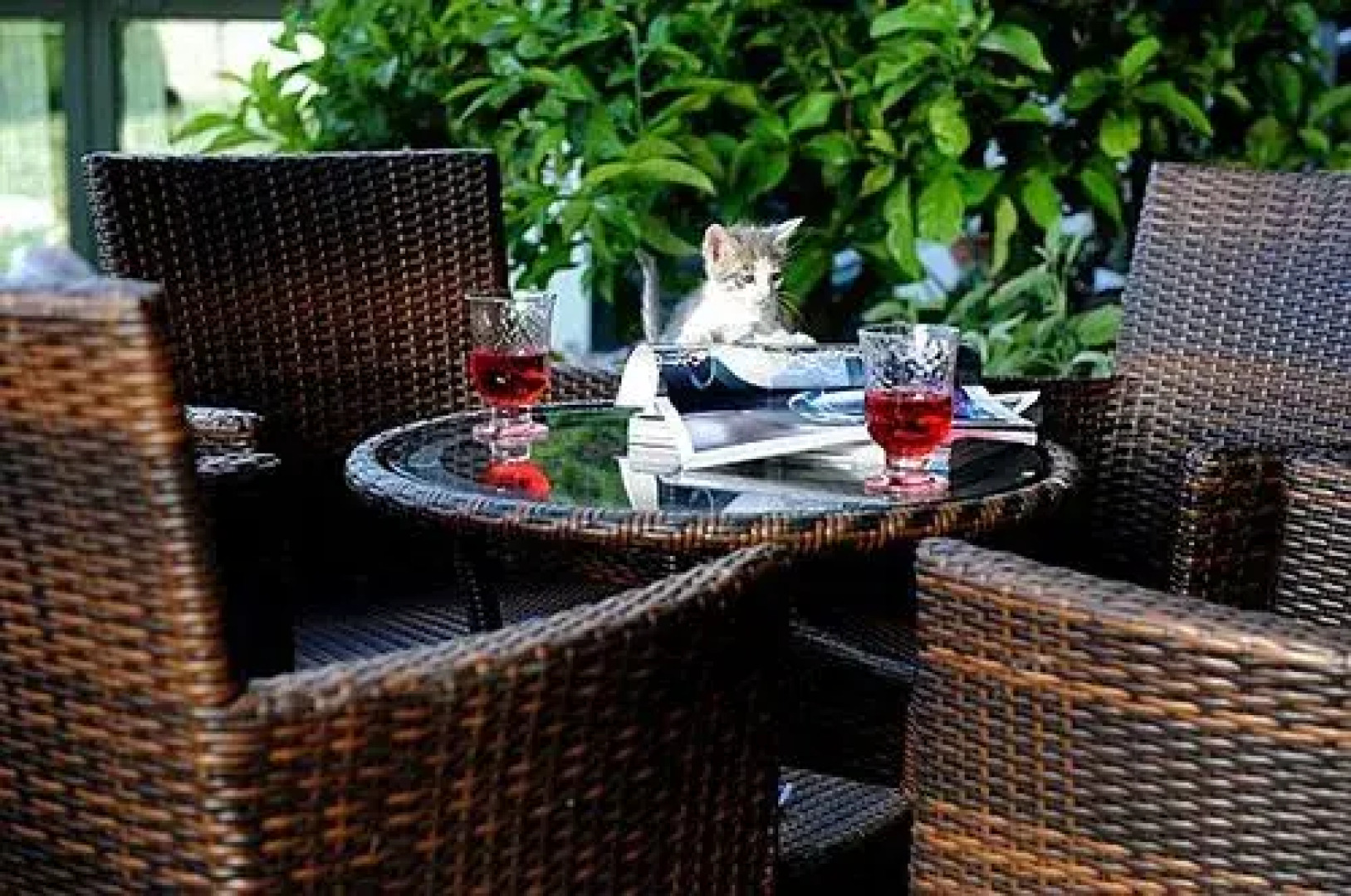 Il Giardino di Valentina