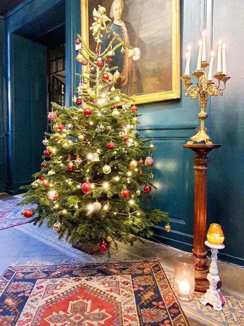 Hôtel du Cygne (Tours)