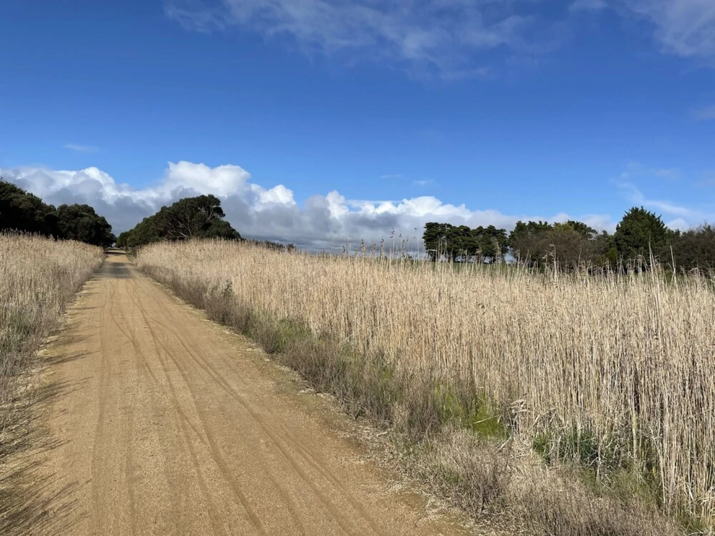 Kilcunda Ocean View Motel