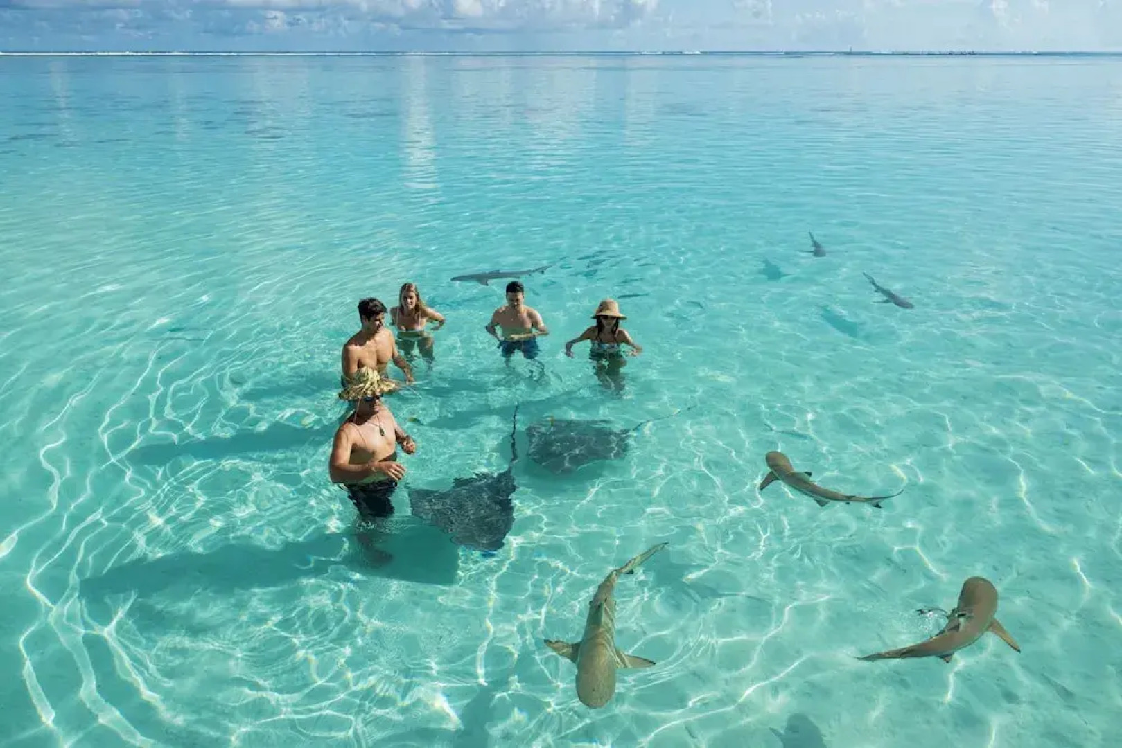 Moorea - Paopao Pool Mountain