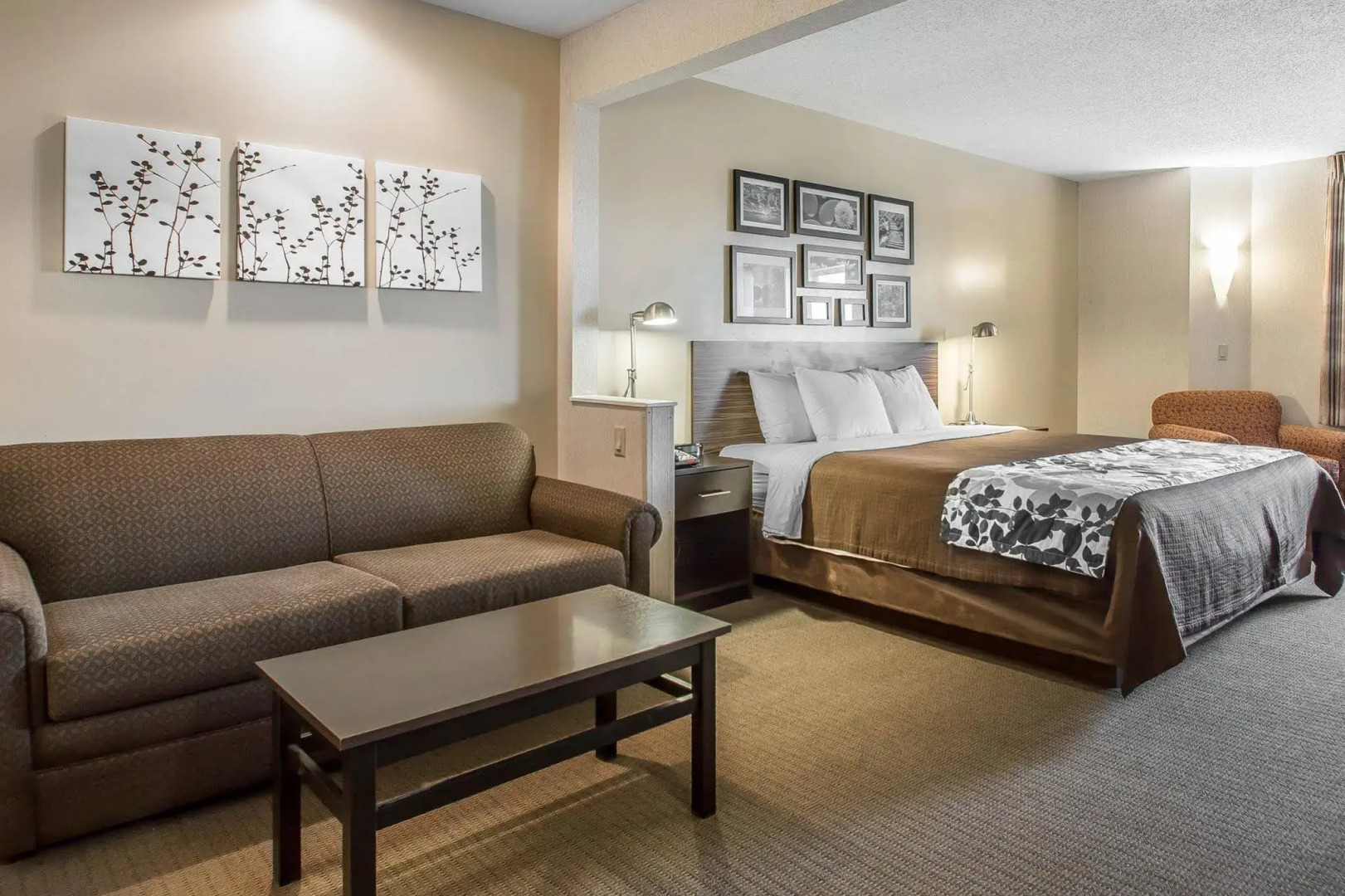 Sleep Inn & Suites Green Bay South