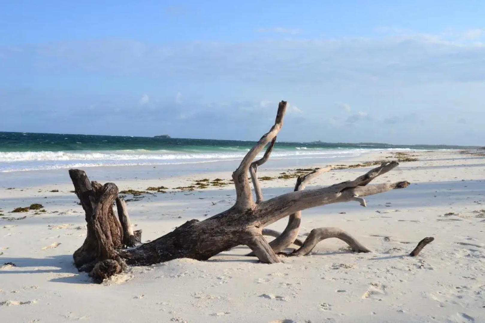 Watamu Beach Cottages B&B