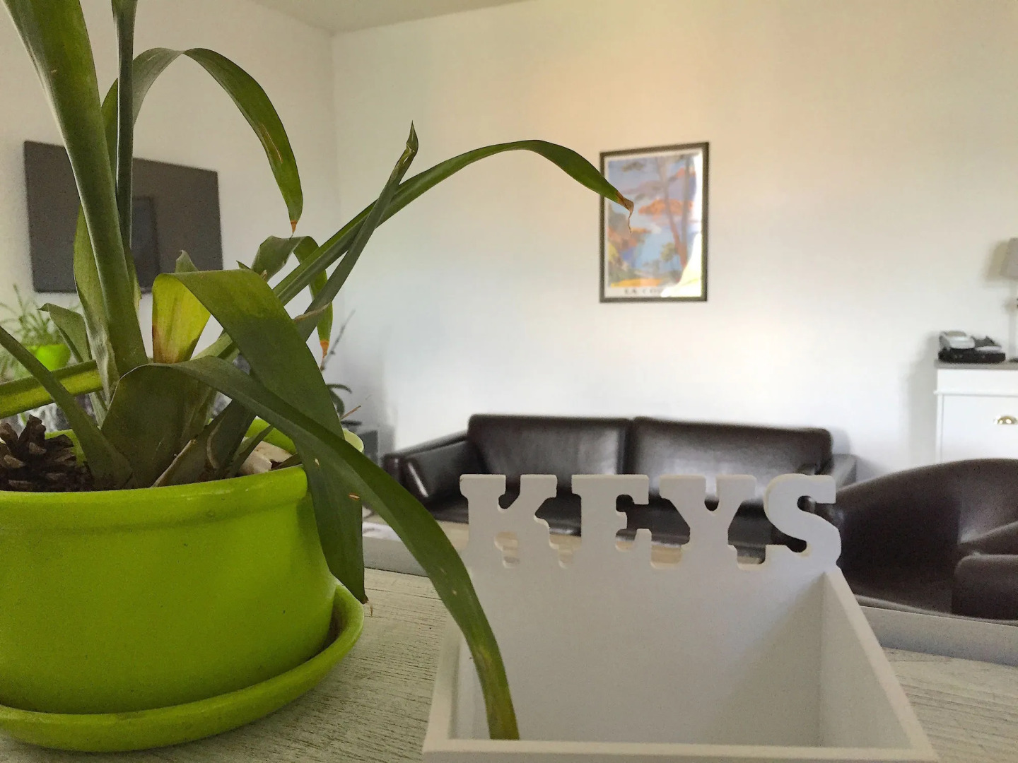 Le Gîte du Chalet Pietri