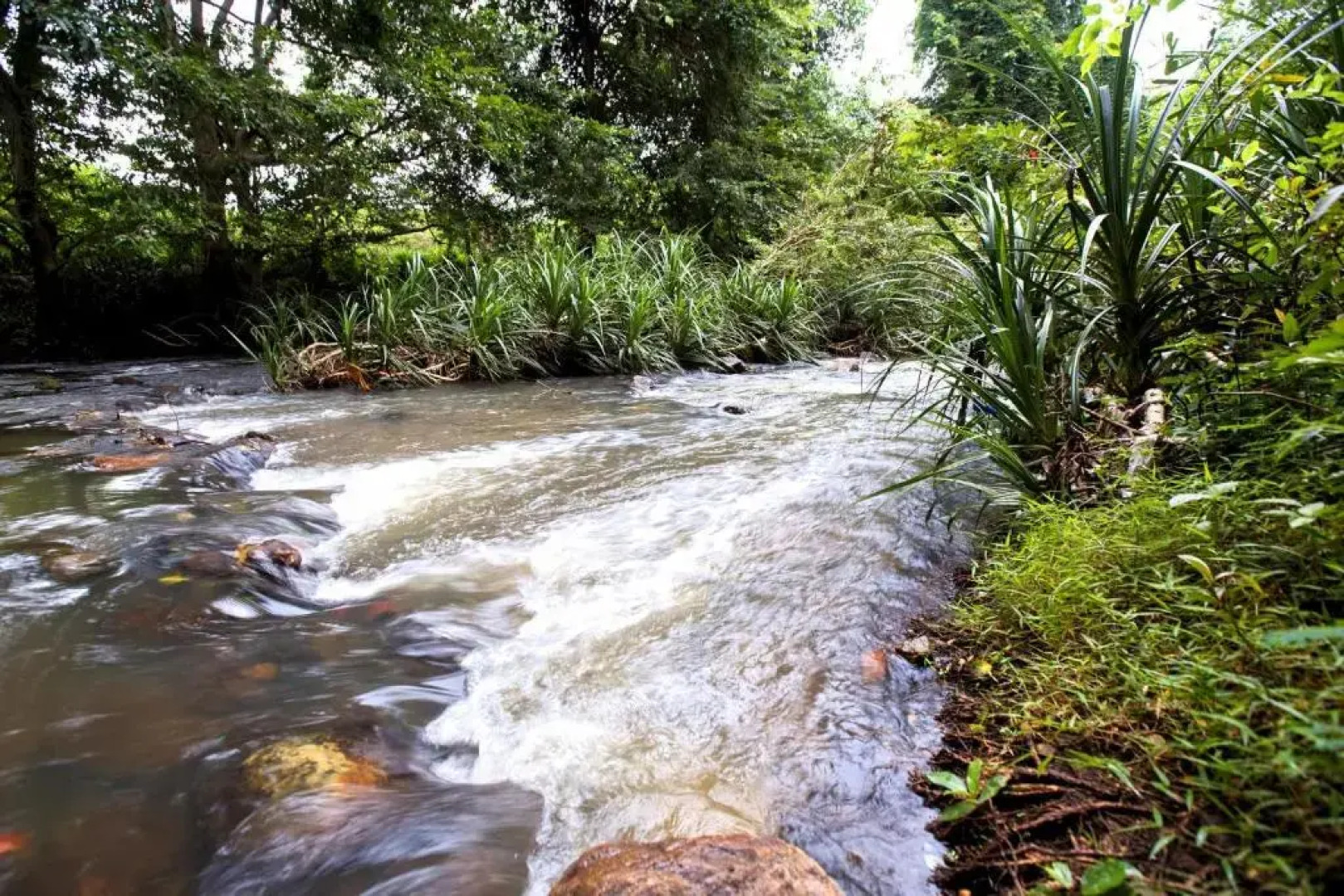 mastodon valley safari resort
