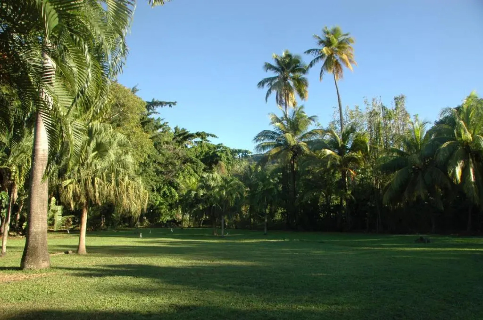Insolite Ara Wakan / Ma cabane
