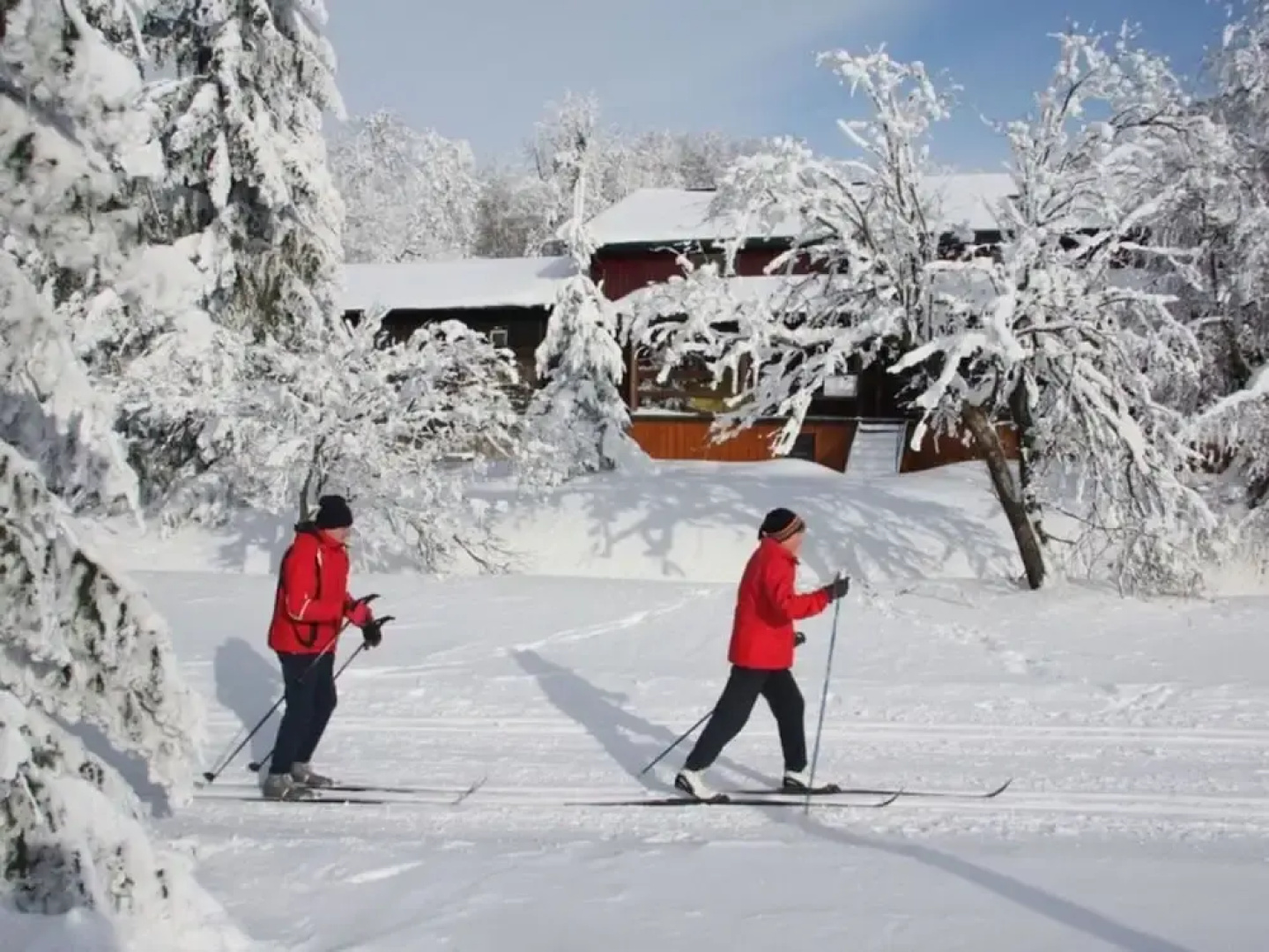 Rasehorn Comfortable Holiday Residence