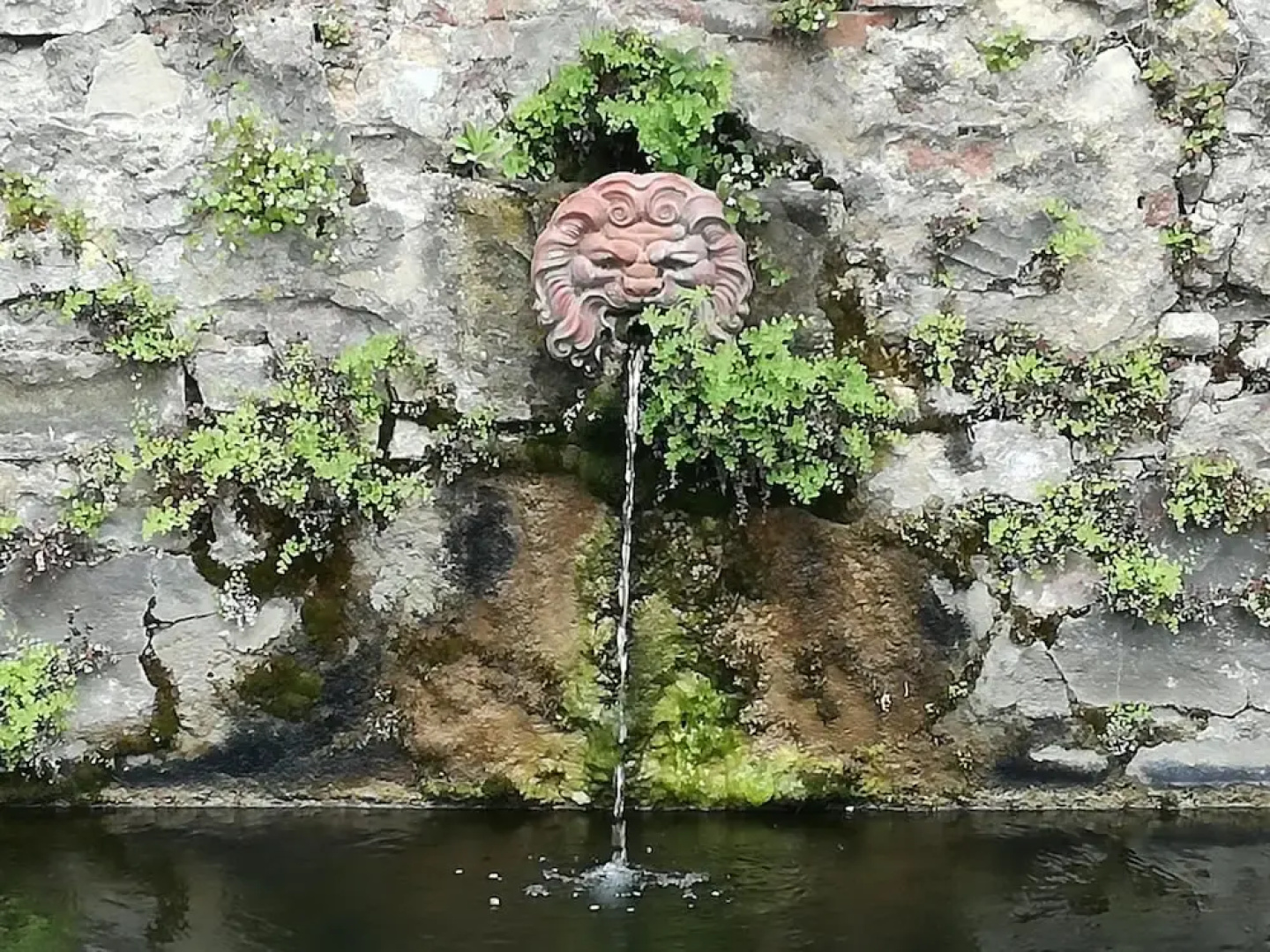 Agriturismo Podere La Cava