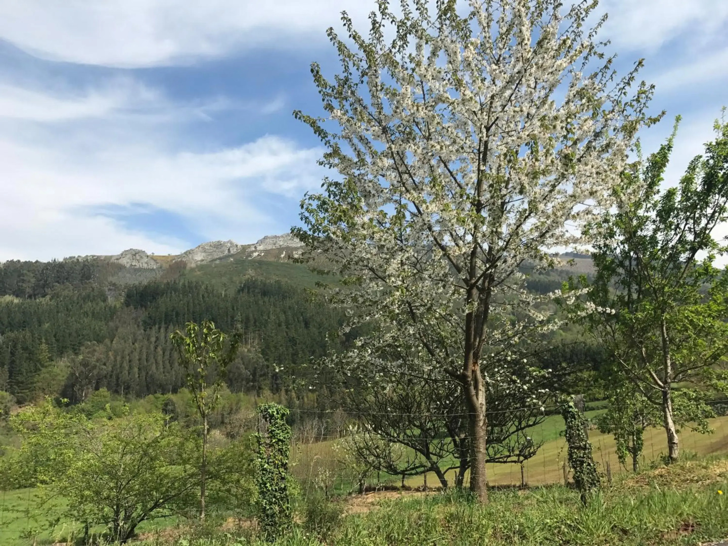 Hotel Mirador de Barcia