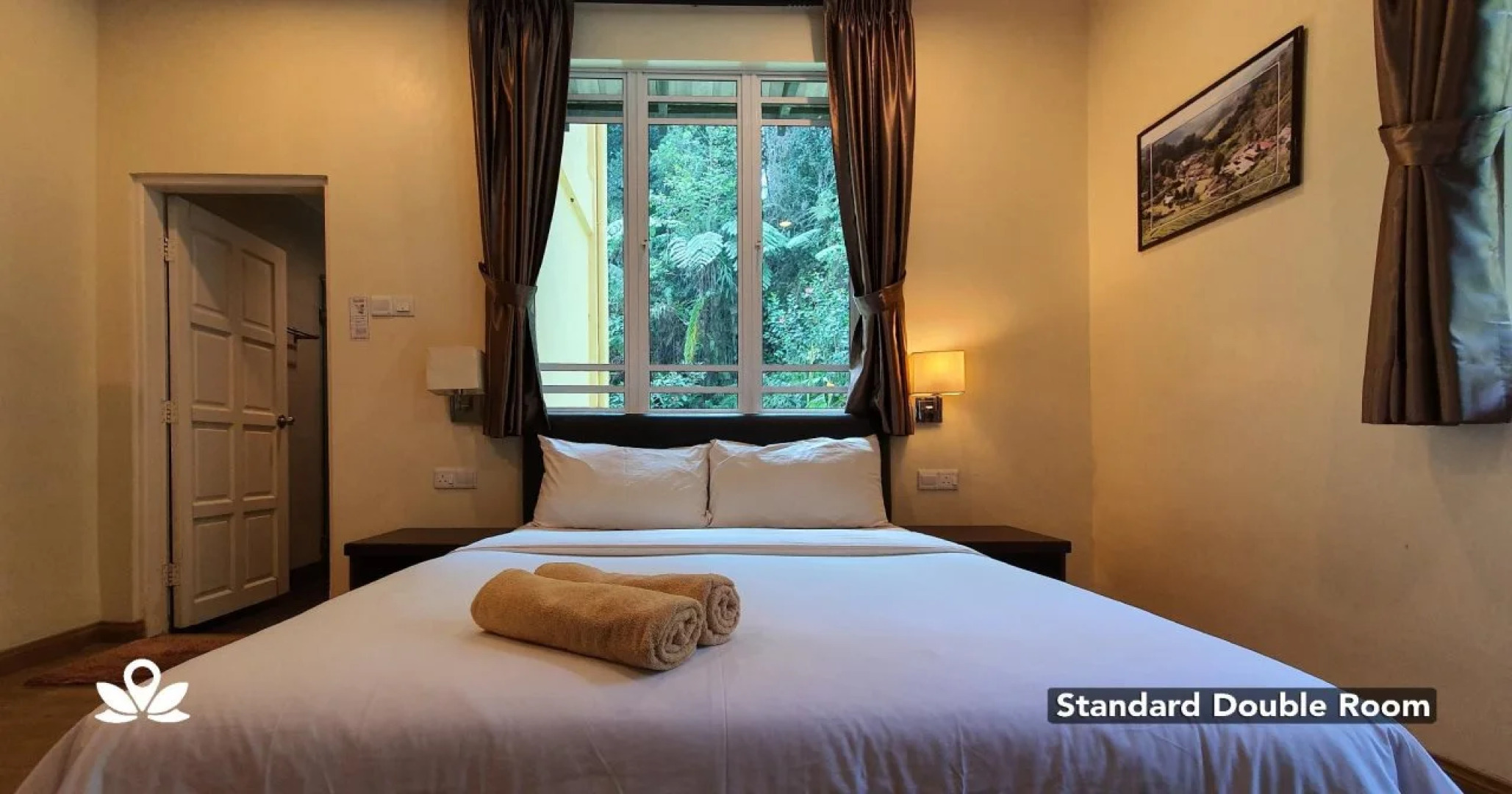 Arundina Cameron Highlands