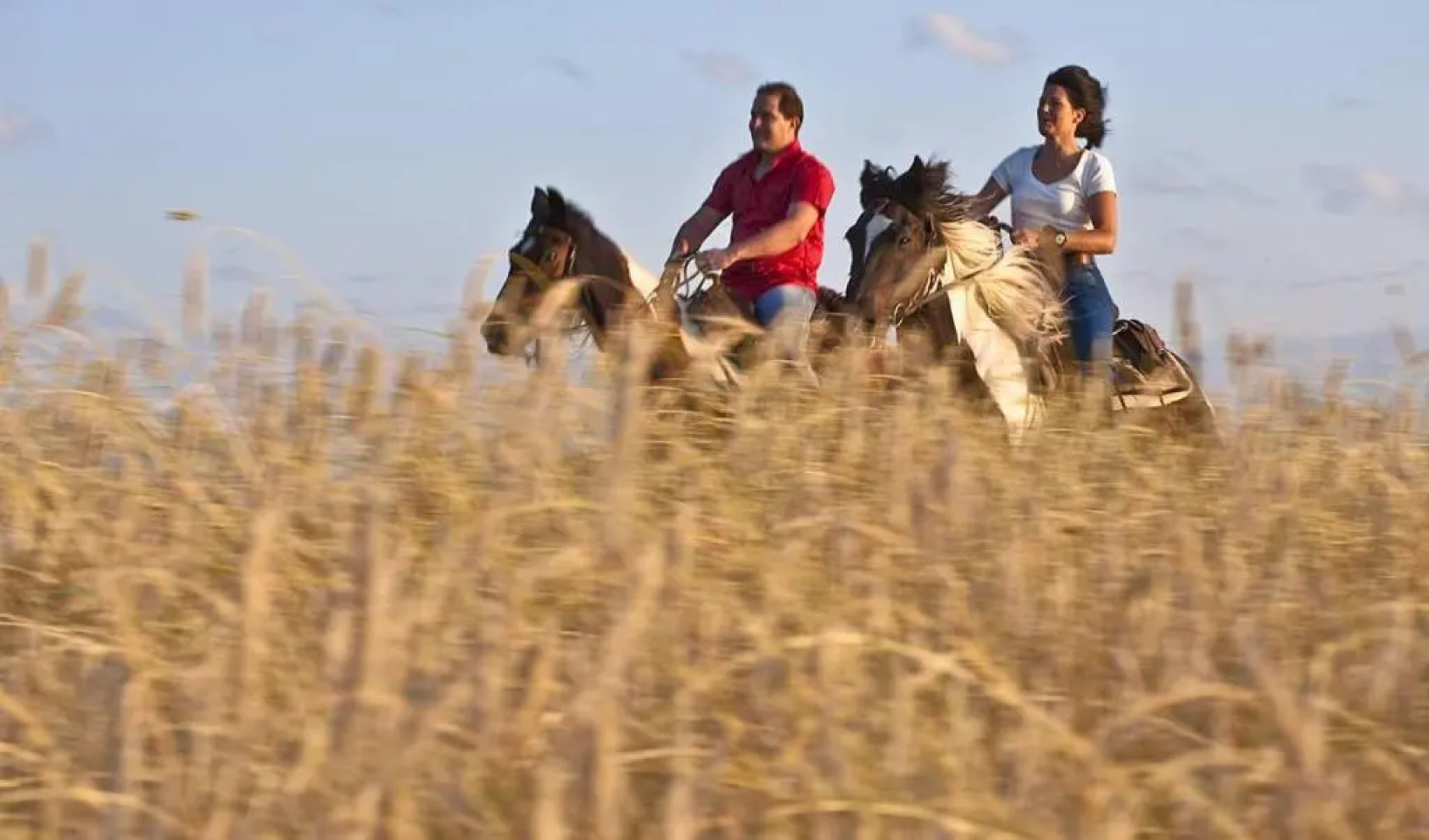 Appartementhaus Mira Monti
