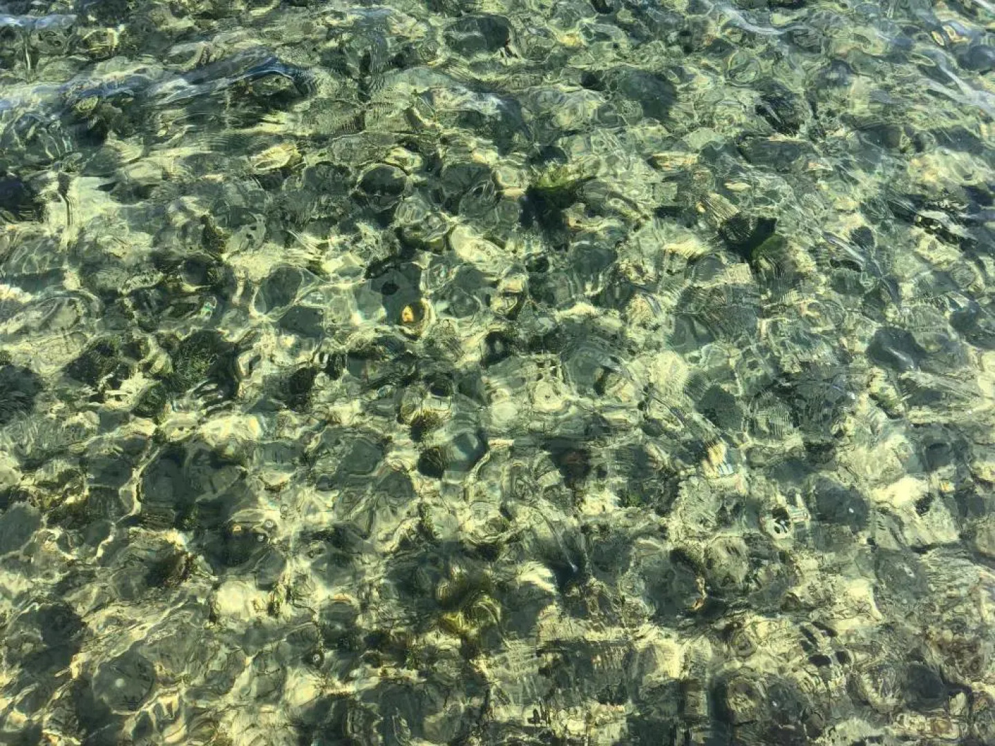 The Fisherman’s House