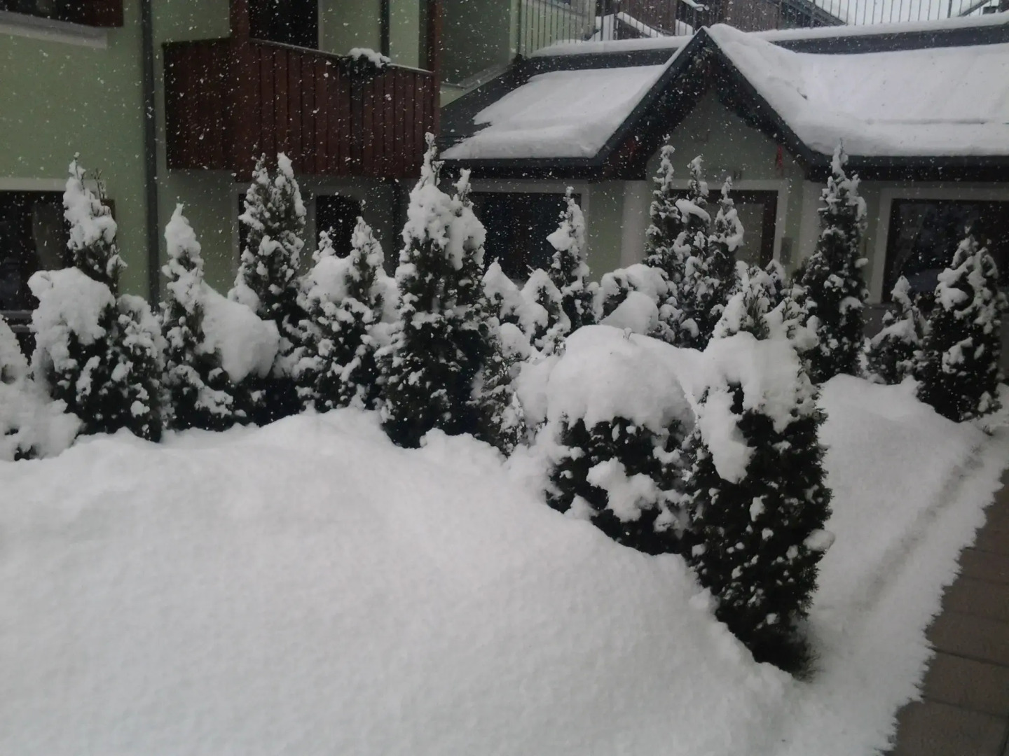 Residence Rta La Rosa delle Dolomiti