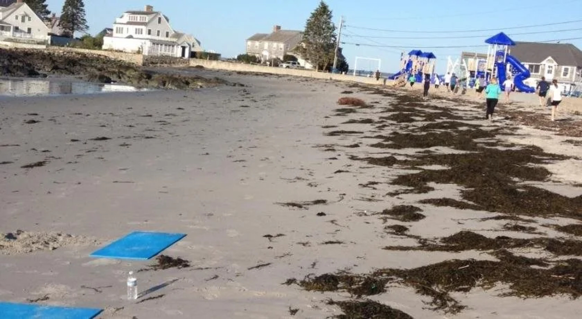 Shorelands Guest Resort and Cottages