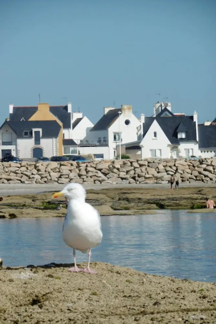 House With 3 Bedrooms in Guilvinec, With Enclosed Garden and Wifi