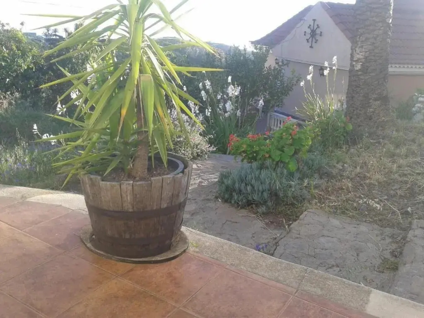 Pensión Amparo Las Hayas