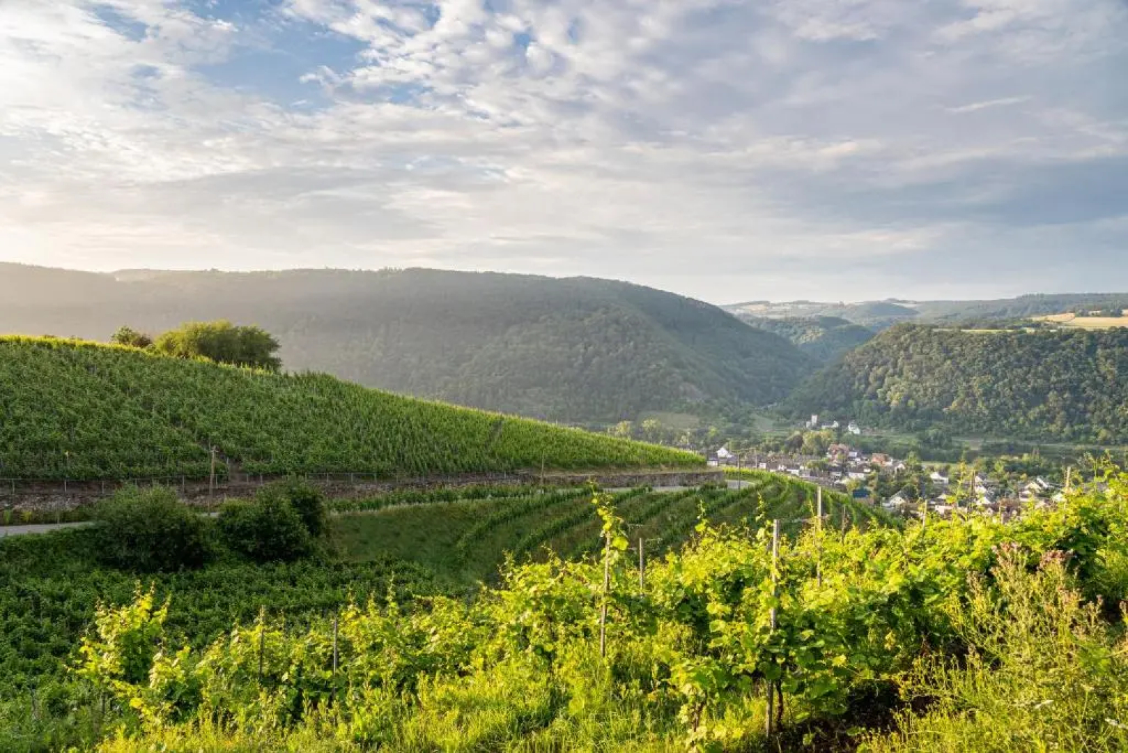 Hotel Moselblick