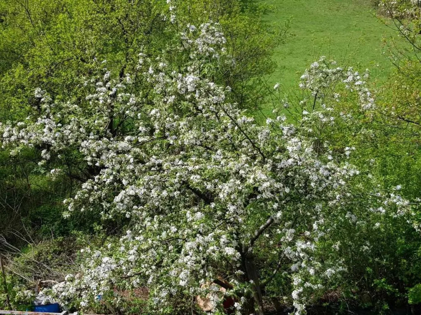 Apartment Holiday Visoko