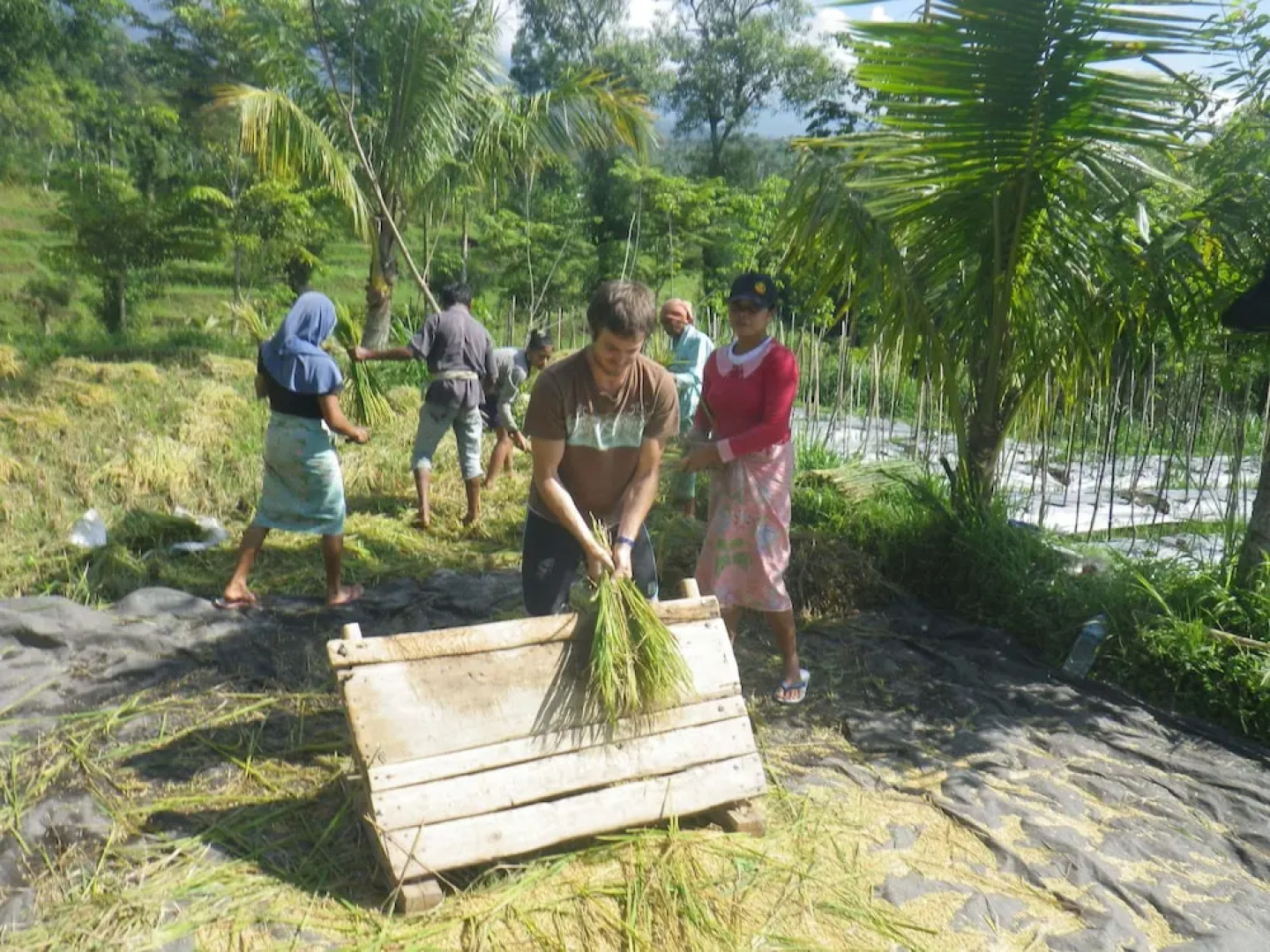 Tetebatu Indah Homestay