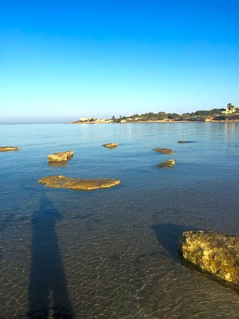 Fiori Gialli Caucana