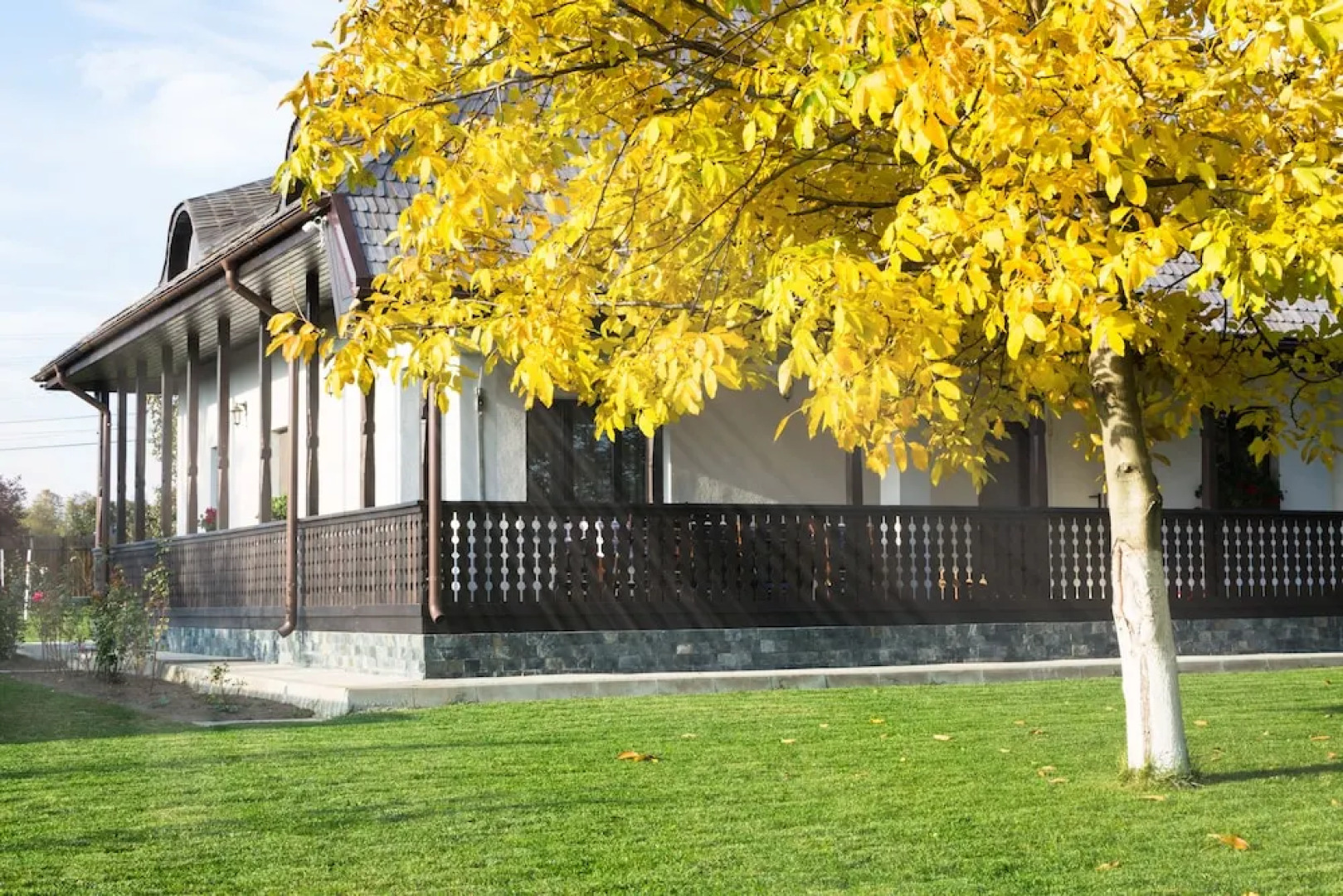 Pensiunea Tara Fagilor