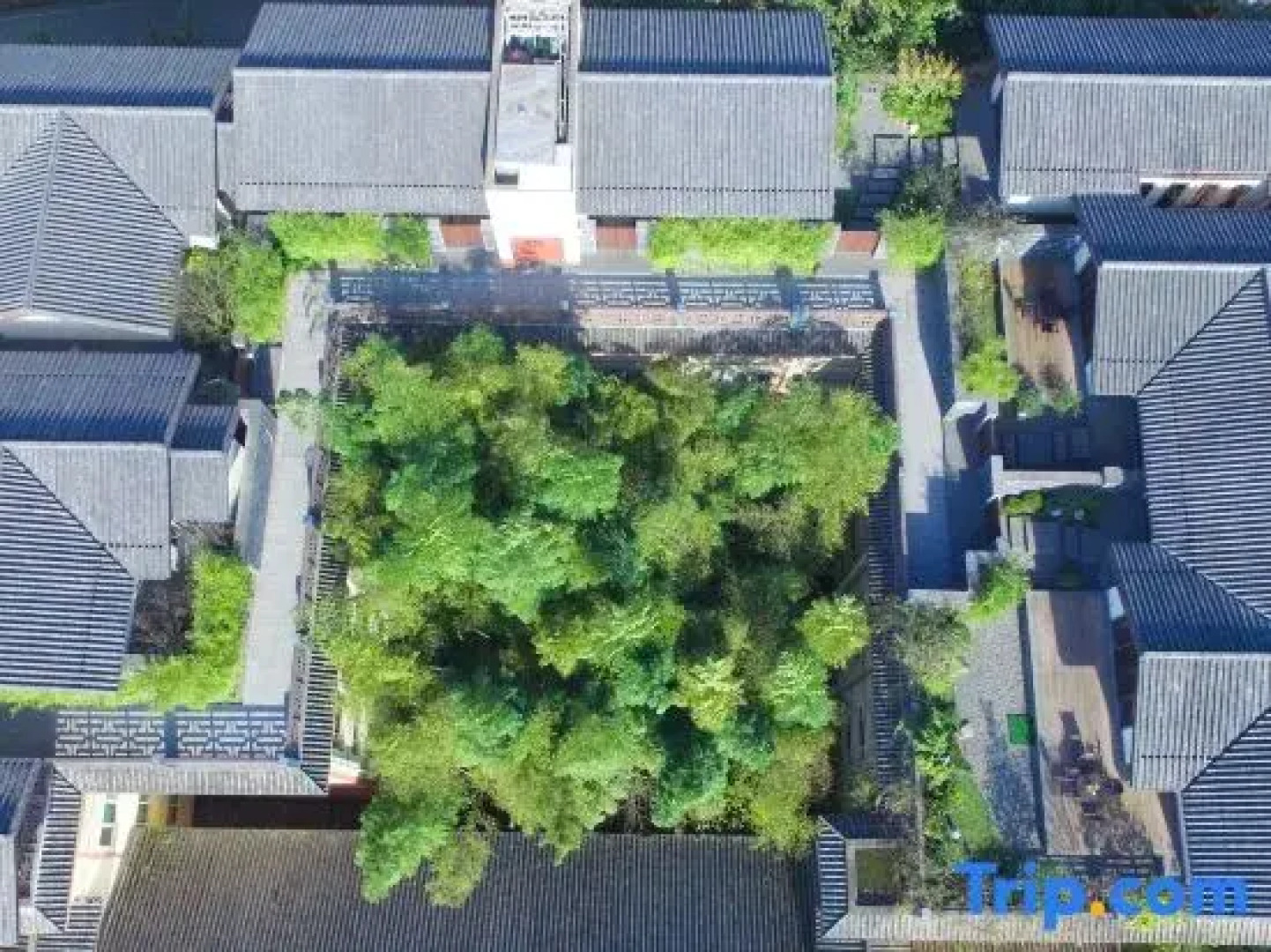 Mount Emei View Hot Spring Soup House