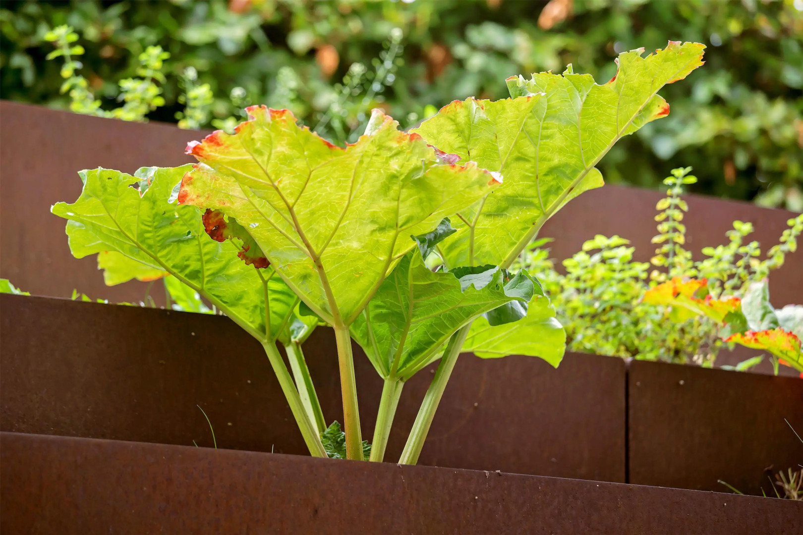 Best Western Hotel Hillerod