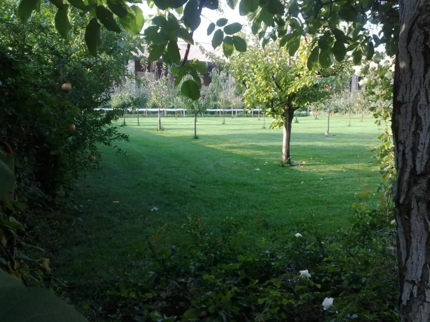 Relais Corte Guastalla