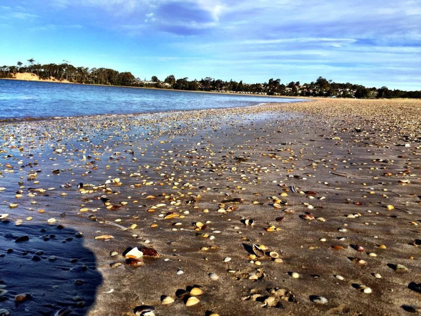 BIG4 Batemans Bay Beach Resort