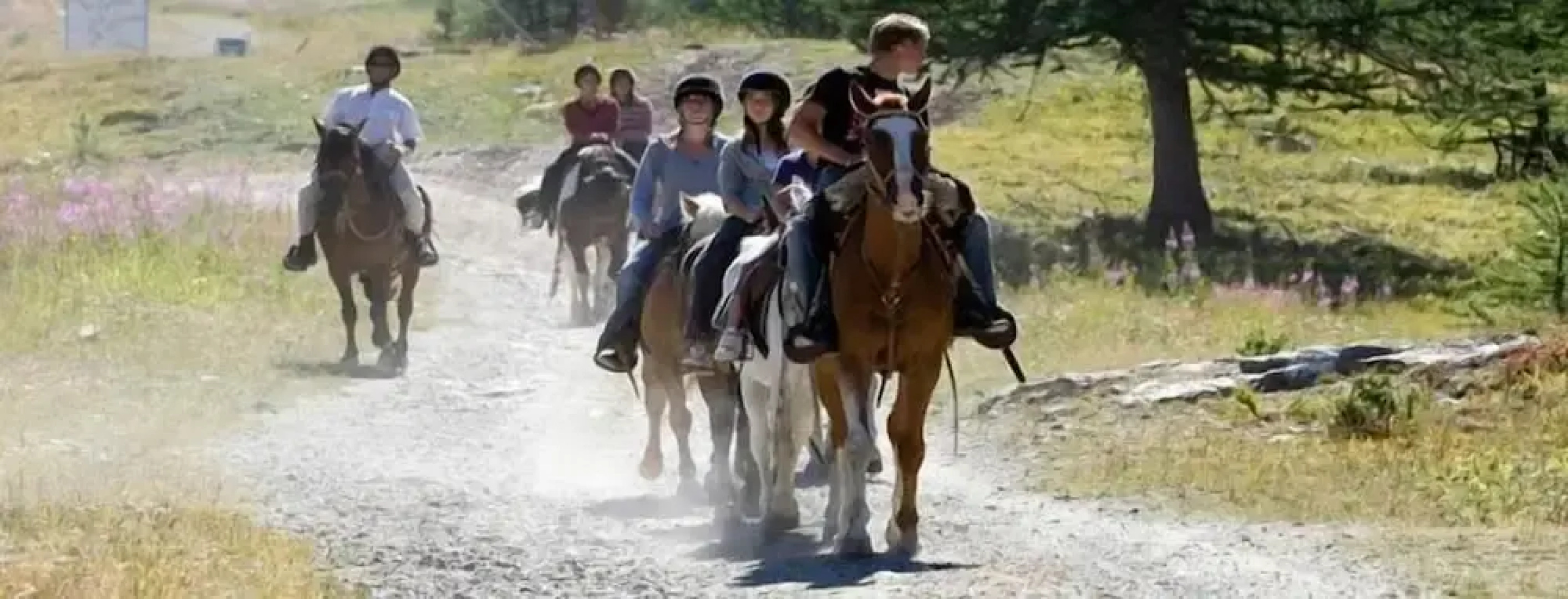 Madame Vacances Les Chalets D'Isola