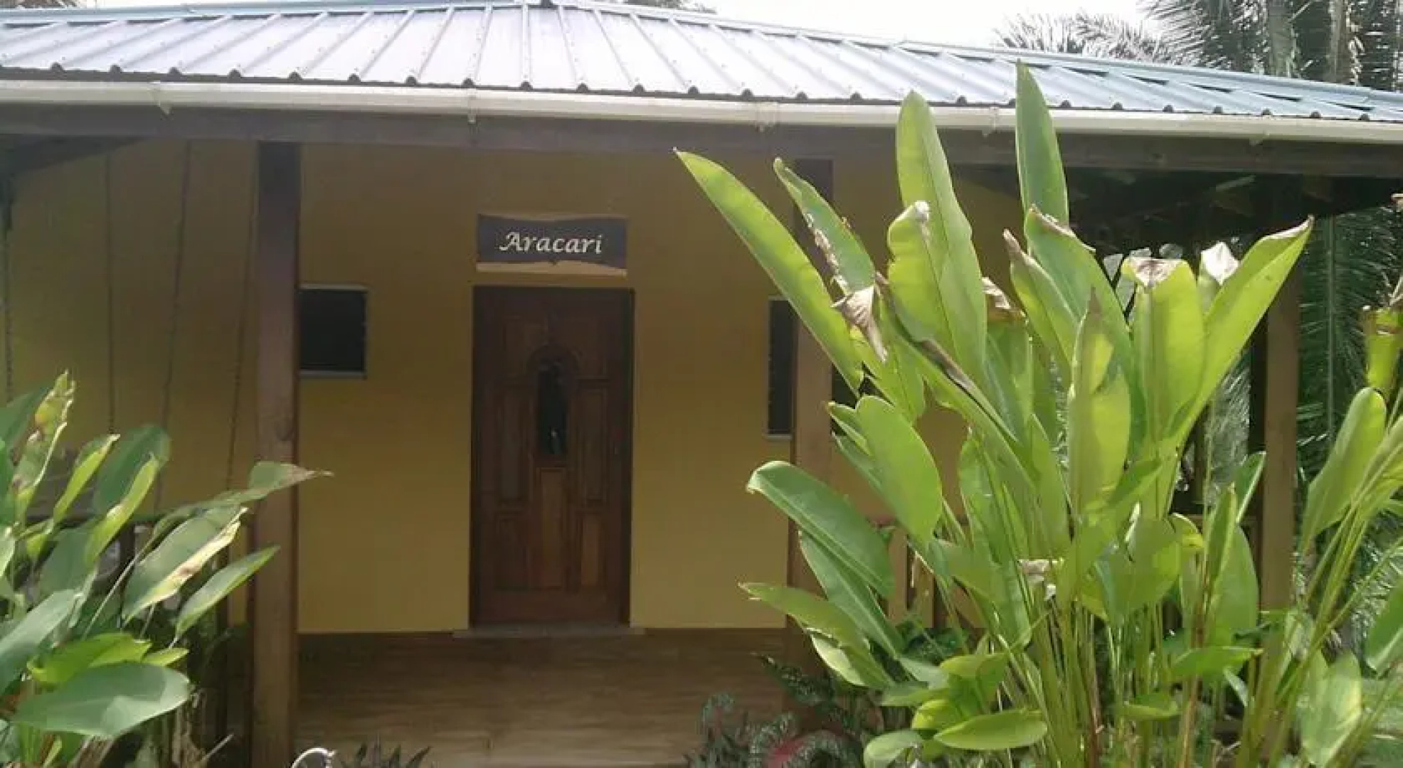 Inn the Bush Eco-Jungle Lodge