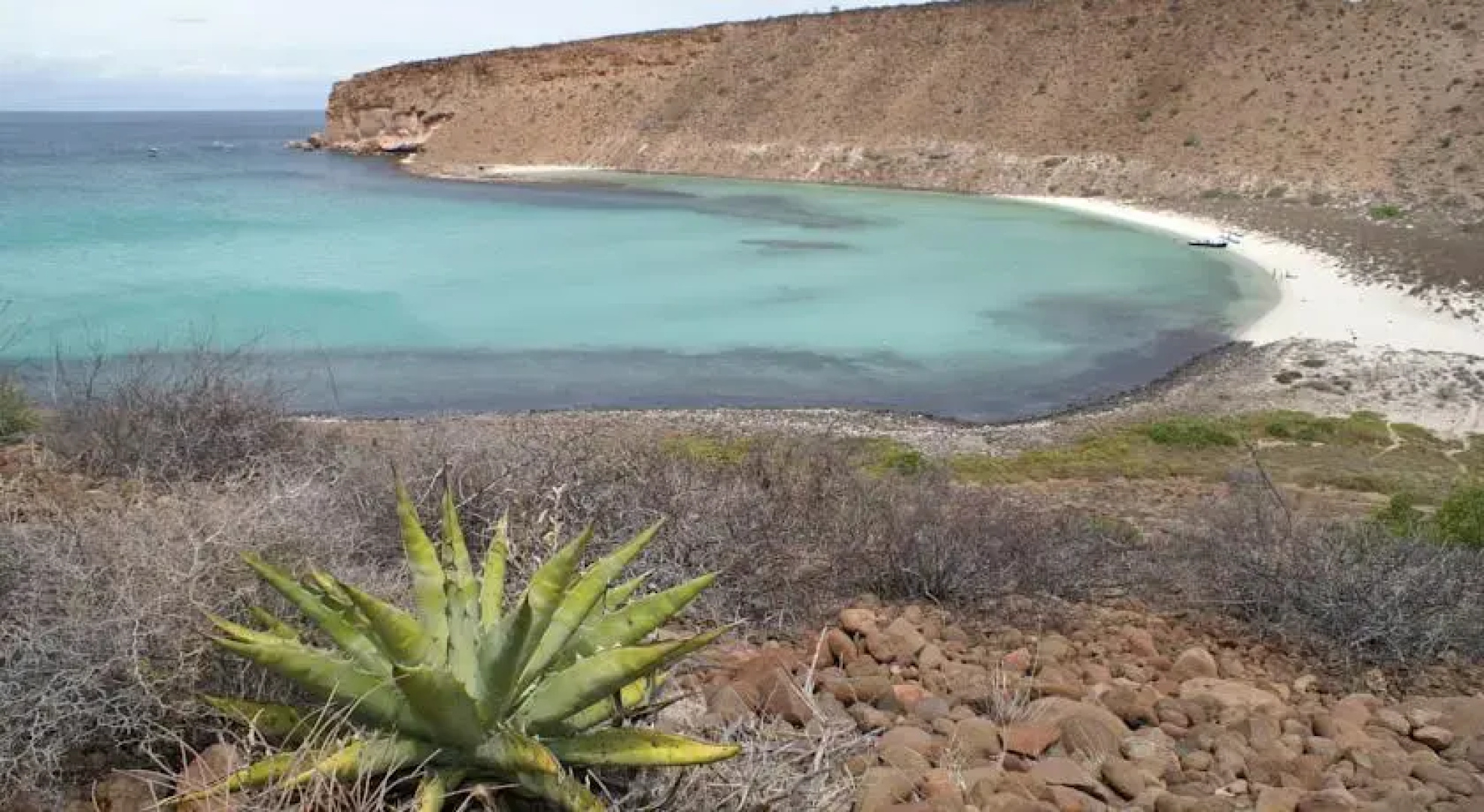 Baja Camp