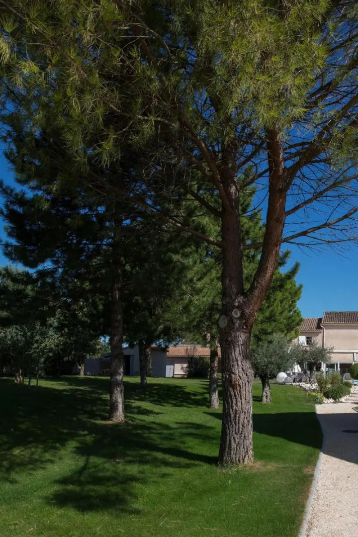Le Domaine des Oliviers