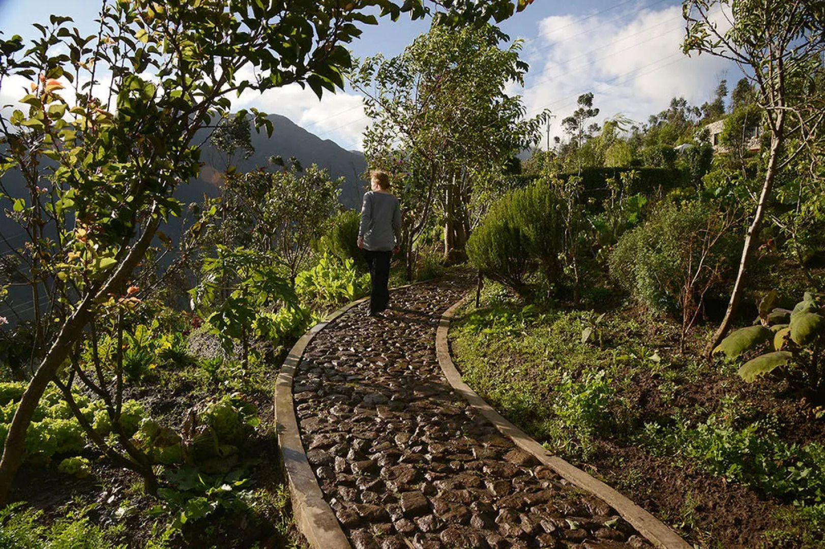 My SachaJi Wellness Ecolodge