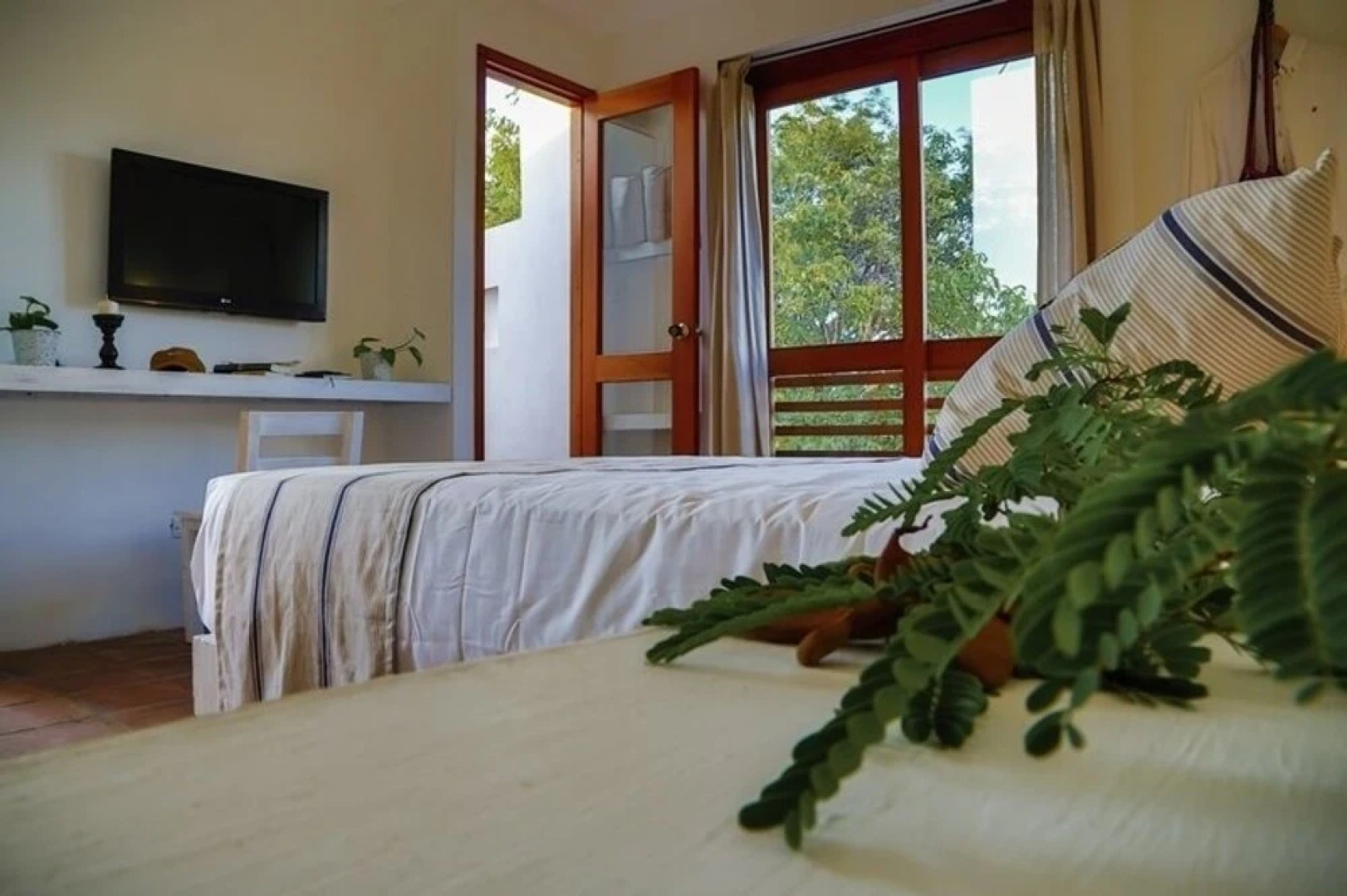 La Casa del Arbol Hotel Boutique