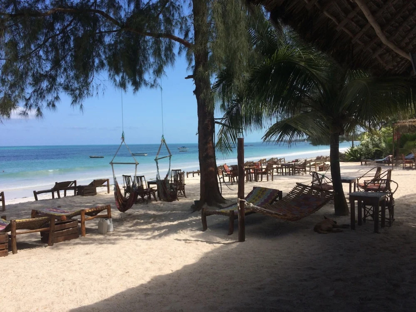 Simba Beach Zanzibar