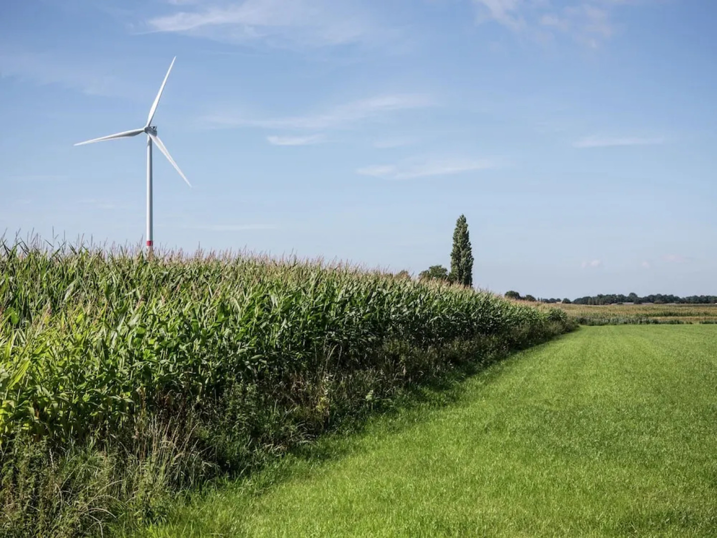 Spacious, Atmospheric Upper Floor of a Farmhouse With Garden