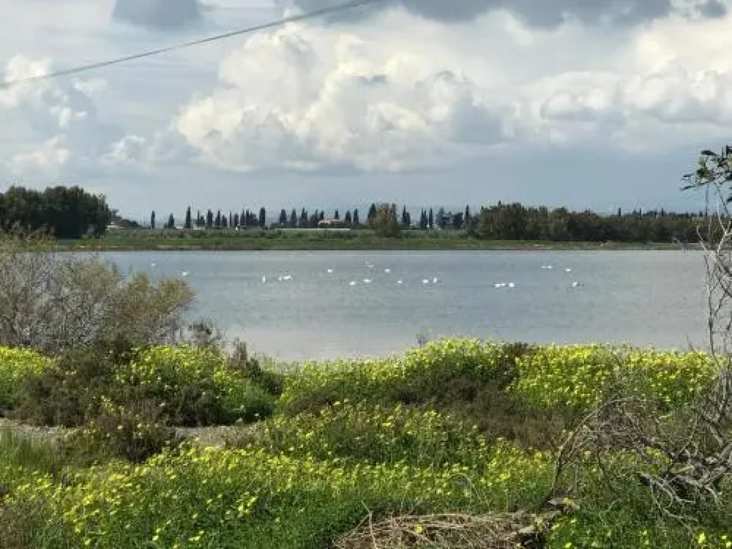 Beach House at Seafront