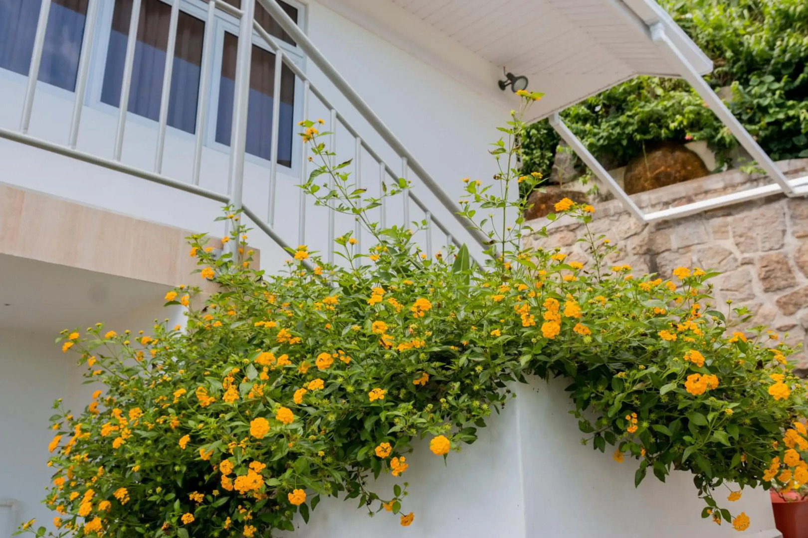 Le Manglier Guest House