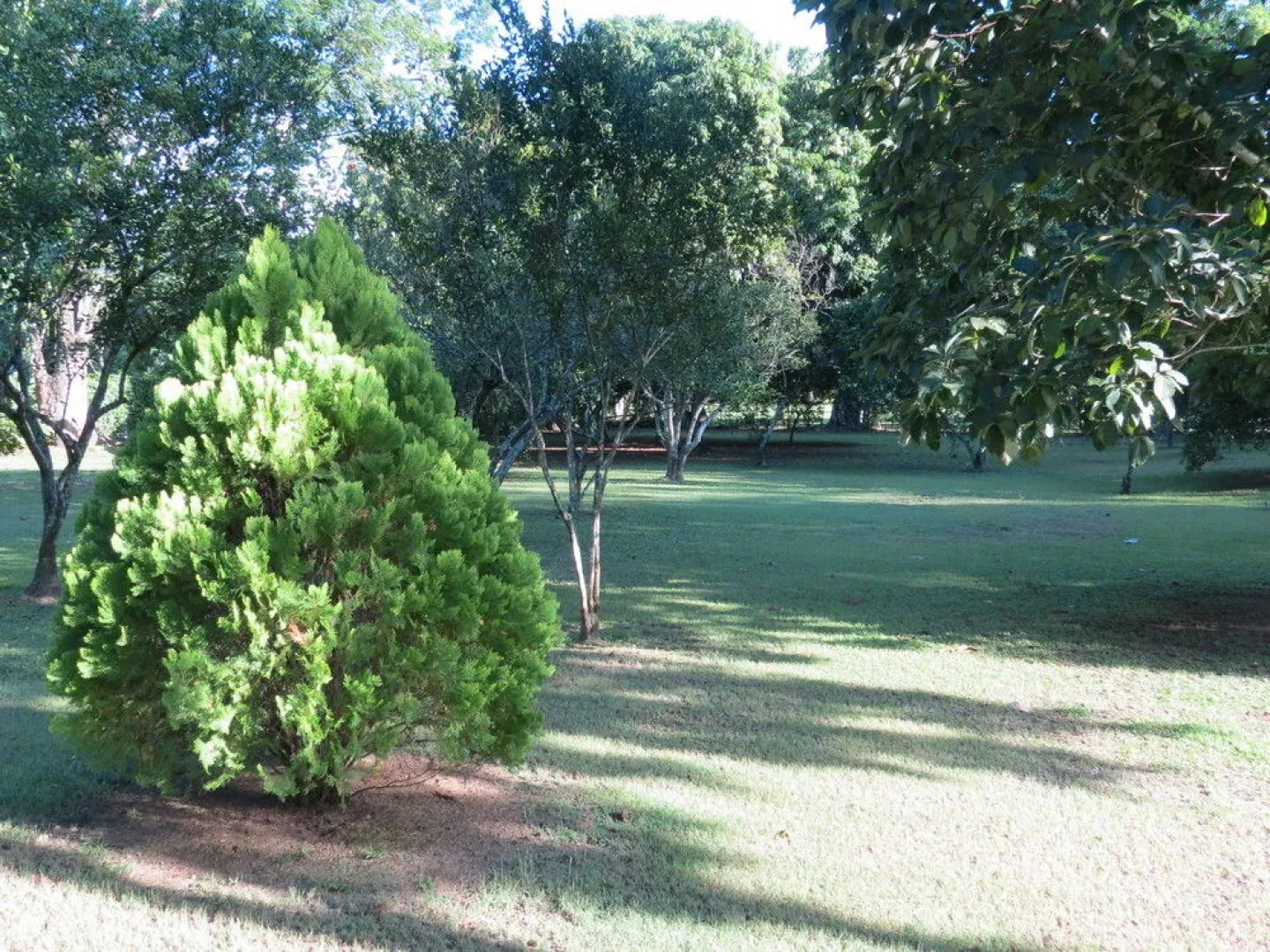 Finca Hotel Morichal Santa Fe