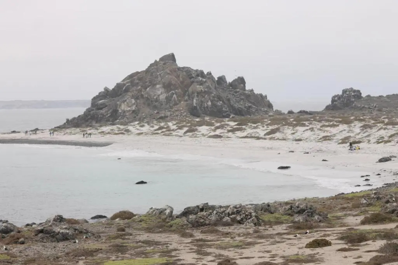 Cabaña Albergo Punta de Choros