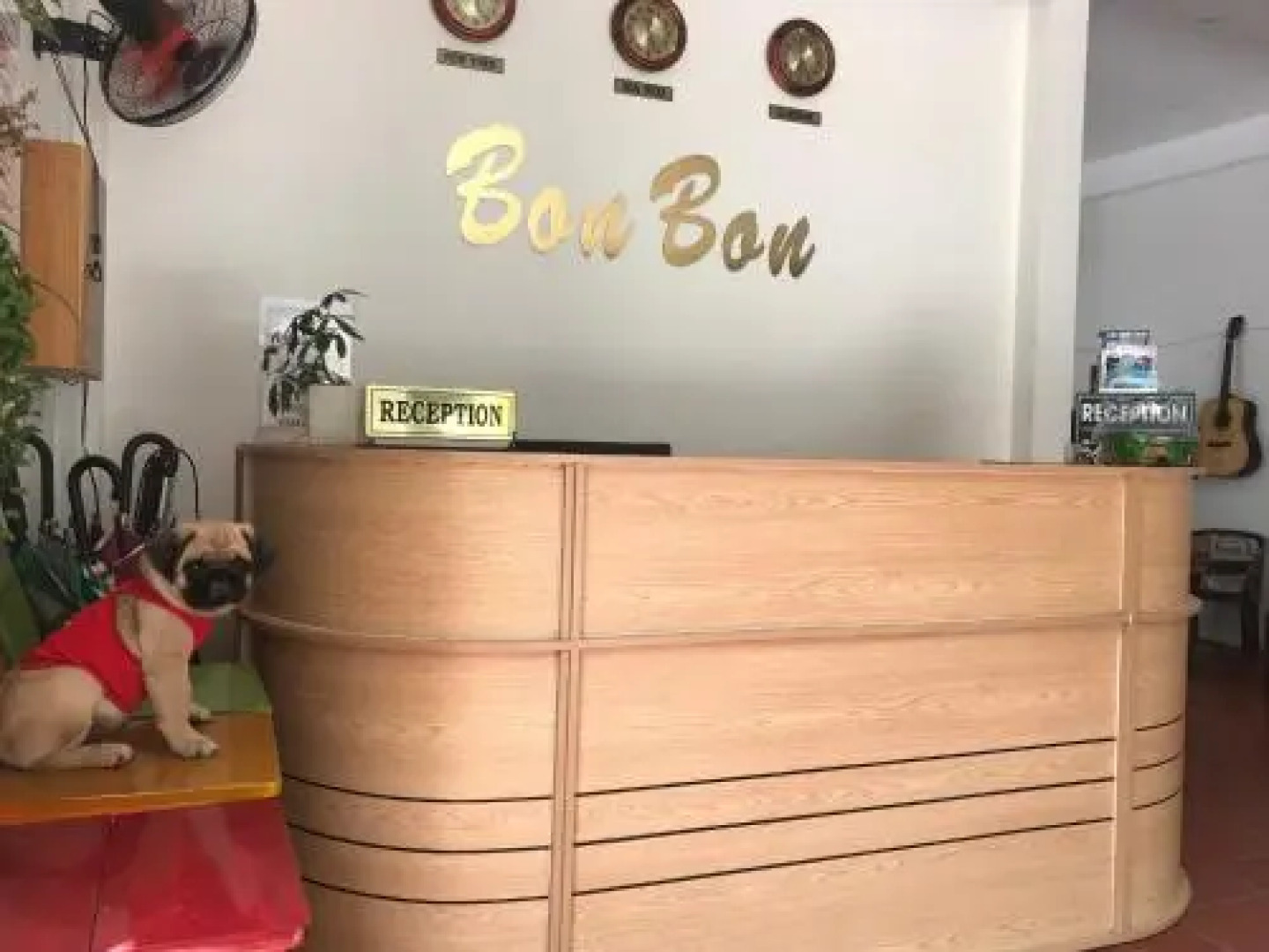 Bon Bon Bungalow